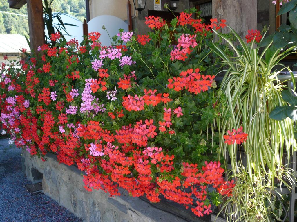 Albergo Panice Limone Piemonte Exterior foto