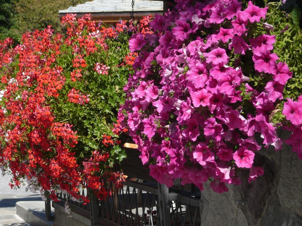 Albergo Panice Limone Piemonte Exterior foto